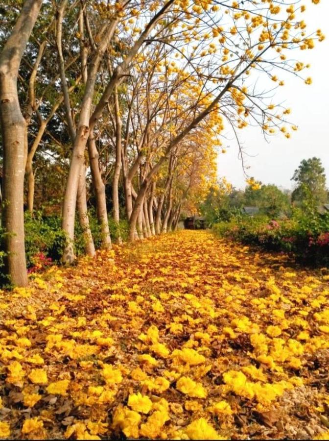 Denchai City Resort เด่นชัยซิตี้ รีสอร์ท Phrae Bagian luar foto