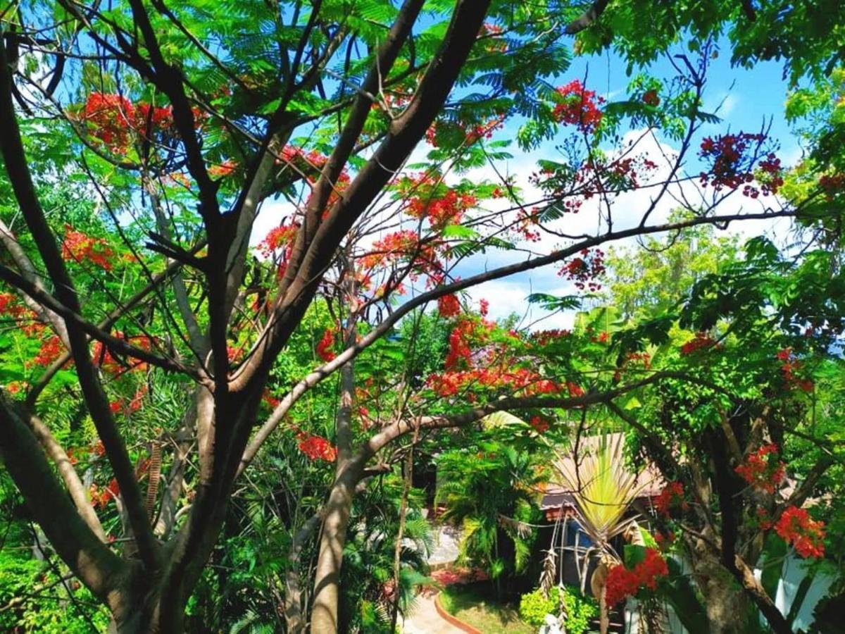 Denchai City Resort เด่นชัยซิตี้ รีสอร์ท Phrae Bagian luar foto